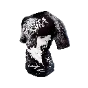 3-4  -Shunguita.webp